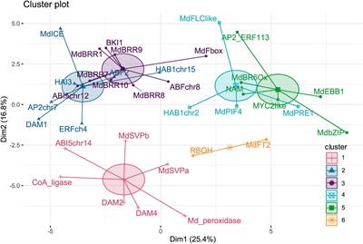 Time-Resolved Analysis of Candidate Gene Expression and Ambient Temperature During Bud Dormancy in Apple
